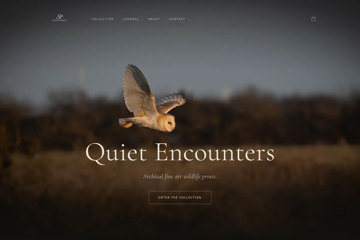 Home page of spwildwaysphotography.com: a barn owl in flight at golden hour above the title Quiet Encounters.